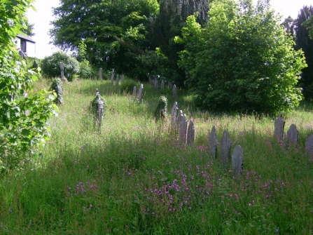 Wildlife churchyard