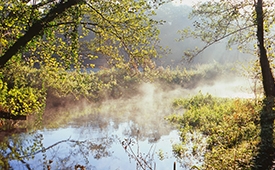 River Pang, Moor Copse by Clive Ormonde