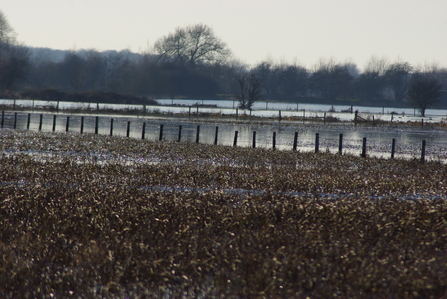 Chimney Meadows