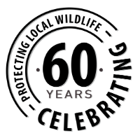 60th anniversary logo