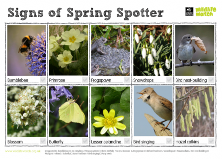 Signs of spring