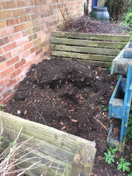 Compost heap by Charlotte Evetts