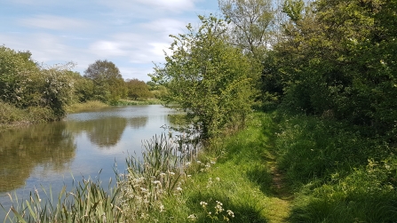 Lambs Pool