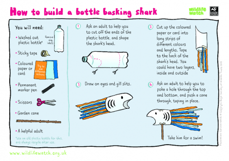 How to make a bottle basking shark worksheet