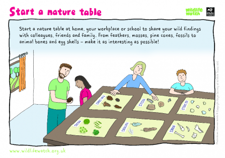 How to make a nature table: worksheet