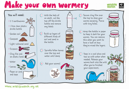How to make a wormery