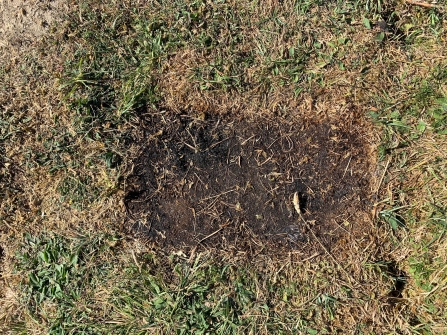 Barbeque damage, Calvert Jubilee, Buckinghamshire