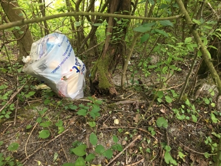 Litter at Aston Clinton Ragpits, Buckinghamshire