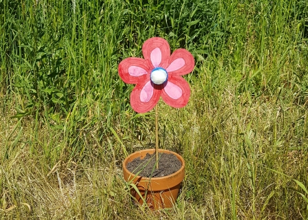 Butterfly feeder outdoors