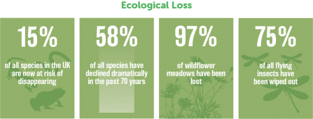 Ecological loss graphic