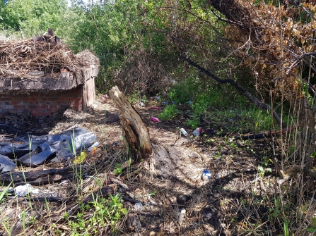 Fire damage and litter at Lashford Lane Fen, Oxfordshire