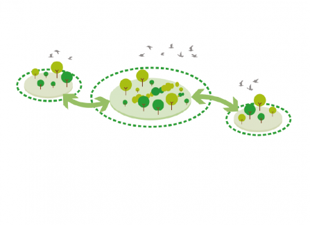 Nature centred design graphic