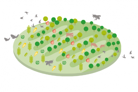 Nature friendly farming graphic