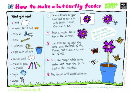 Butterfly feeder instructions