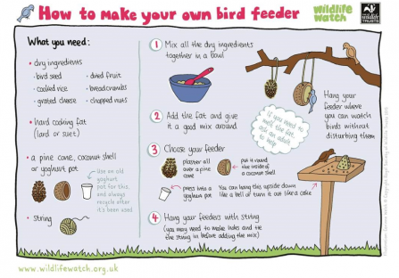 Bird feeder activity sheet