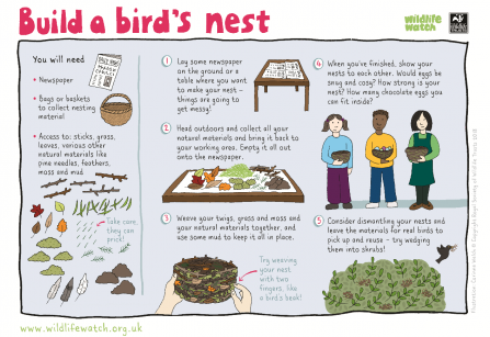 Bird's nest worksheet