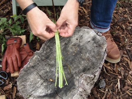 Separating fibres