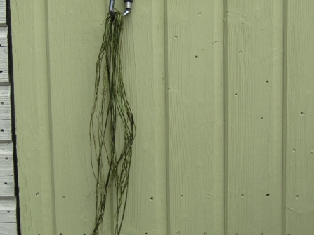 Drying the fibres