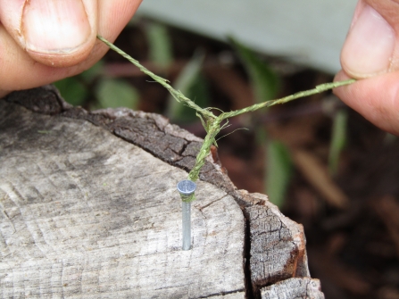 Twisting string from a nail