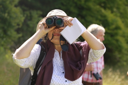 Lady with binoculars