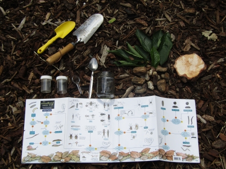 optimal pitfall trap for rainforest optimal pitfall trap for rainforest