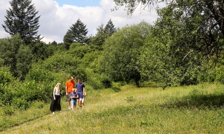 Family walking