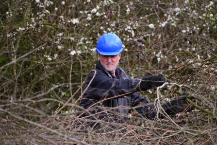 Hedgerow management by David Richardson