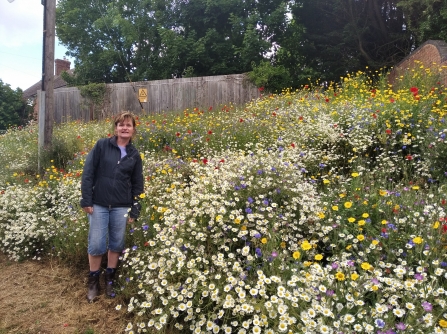 Appreciating the verge in full bloom