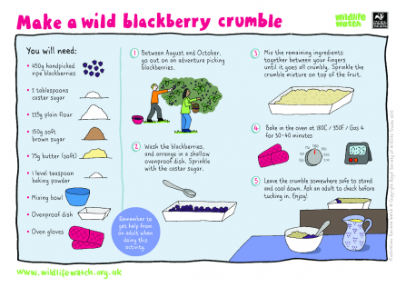 Blackberry crumble activity sheet