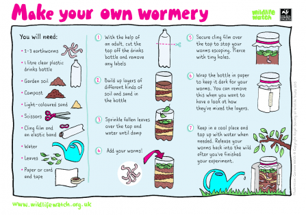 Wormery activity sheet