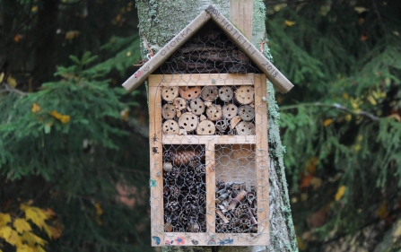 Bug hotel by Tania Malrechauffe