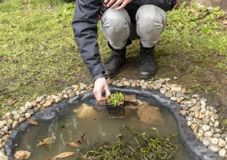 Making a pond by Penny Dixie