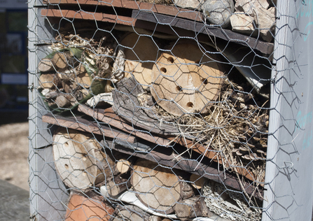 Bug hotel by Amy Lewis