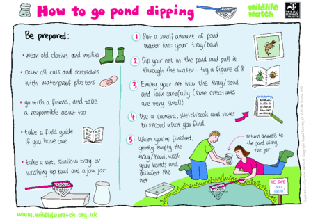 Pond dipping spotter sheet