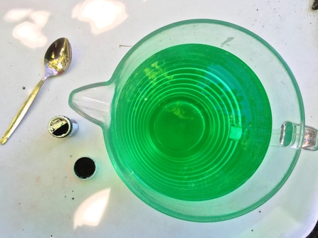 Prepare water with food dye