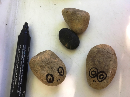 Drawing eyes on stones