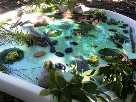 Frog pond filled with water