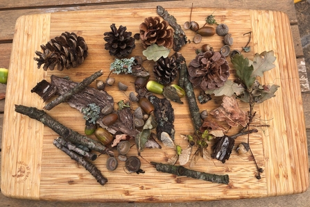 Finds on nature table