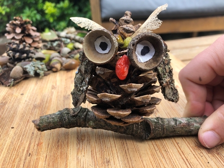 Pine cone owl