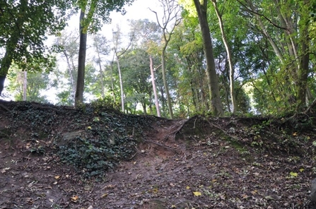 Hill at C.S. Lewis nature reserve