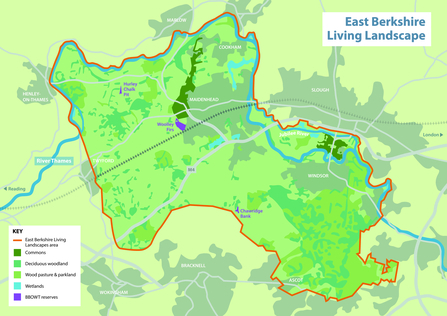 The East Berkshire Living Landscape