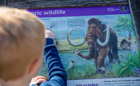 Interpretation boards at a nature reserve