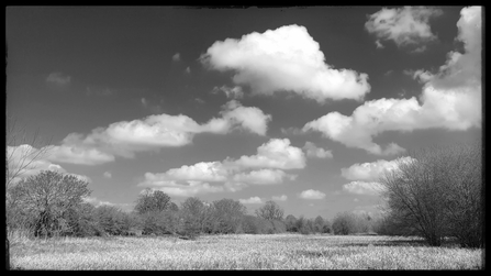 Cholsey Marsh by Ed Munday