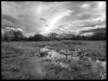 Cholsey Marsh in flood by Ed Munday