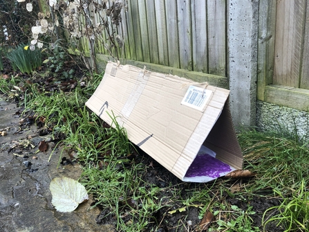 Footprint trap in garden