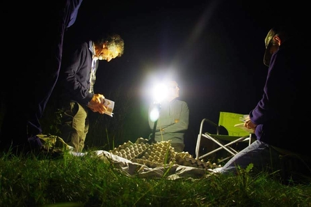 Moth trapping by Adrian Wallington