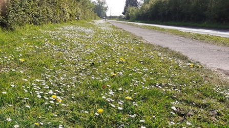 Road verge