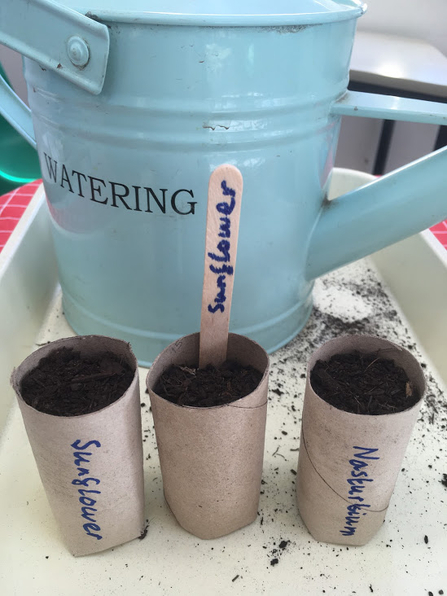 Leave your seeds on a sunny windowsill