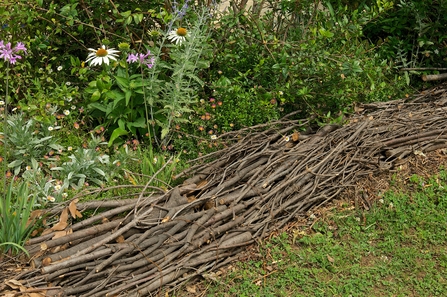 Log piles by Tim Sandall, RHS