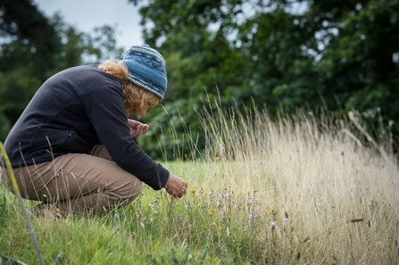 Woman surveying flowers